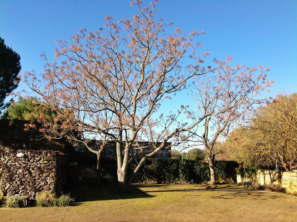 Tenuta Sant'Andrea Giuggianello Экстерьер фото
